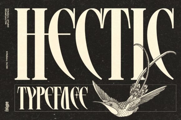 Hectic Typeface: Modern Display Fonts for Makers