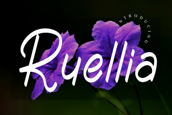 Ruellia Font Review: A Premium Display Choice for Designers